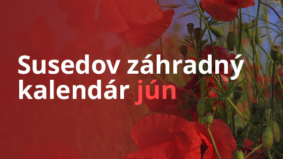 susedov-kalendar-jun